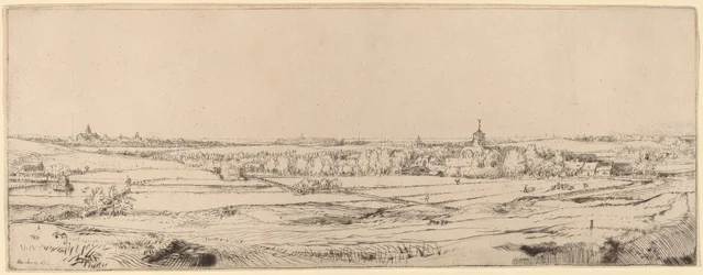 Paesaggio con vista verso Haarlem (Il campo del pesatore d