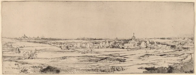Paesaggio con vista verso Haarlem (Il campo del pesatore d