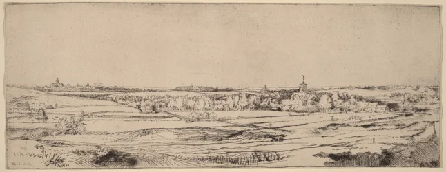 Paesaggio con vista su Haarlem (Il campo degli orafi)