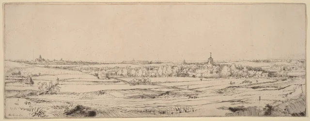 Paesaggio con vista su Haarlem (Il campo degli orafi)