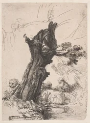 San Girolamo accanto a un salice potato