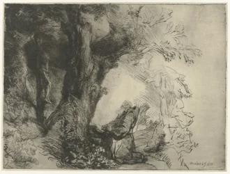 San Francesco sotto un albero, in preghiera