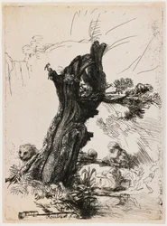 San Girolamo presso il salice potato