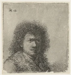 Autoritratto con capelli folti: busto