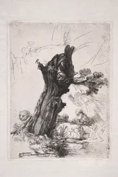 San Girolamo che scrive accanto al tronco di un salice