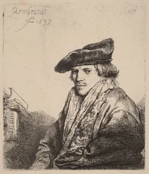 Giovane con un berretto di velluto (Petrus Sylvius)