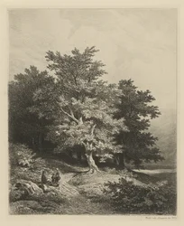 Figure al margine di un bosco