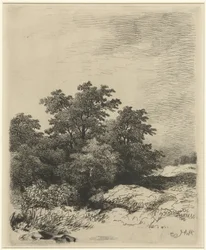 Paesaggio con alberi