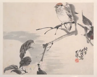 Animali, fiori e uccelli