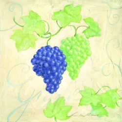 Uva fresca blu-verde