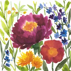 Giardino fiorito dai colori vivaci