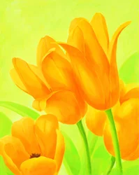 Tulipani arancioni dai colori vivaci