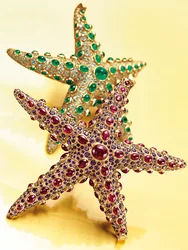 Due spille a forma di stella marina