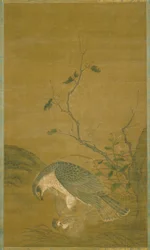 Falco che cattura un passero
