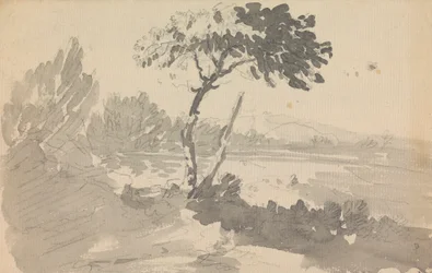 Albero e lago