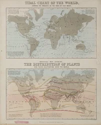 Una carta delle maree e una mappa della distribuzione delle piante nel mondo, c. 1850