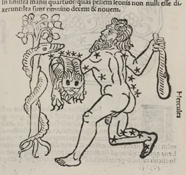 La costellazione di Ercole