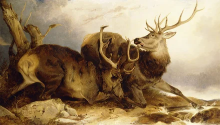Il Combattimento, 1847