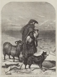 Il pastore delle Highlands
