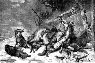 Viaggiatore a cavallo attaccato da un branco di lupi