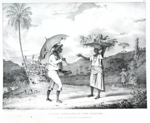 Domenica mattina in campagna, illustrazione da 