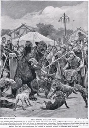 Combattimento di orsi in tempi sassoni, da 