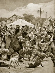 Combattimento di orsi in tempi sassoni, illustrazione da 