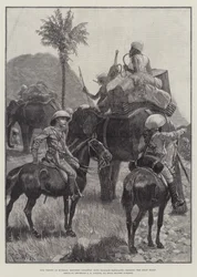 Le nostre truppe in Birmania, fanteria montata con elefanti da bagaglio che attraversano le colline Shan