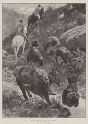 Con i cani da caccia a Exmoor