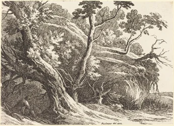 Paesaggio con Grandi Alberi