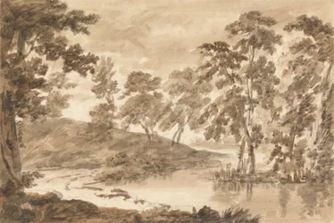 Paesaggio boschivo
