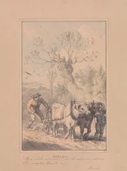 Primavera