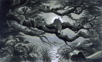 Fate, ninfe ed elfi che riposano al chiaro di luna su un ramo? Illustrazione di "In Fairy land. A series of pictures from the elf - world" di Richard Doyle 1869-1870 The British Library Institution Reference: Shelfmark ID: 1876 e18 