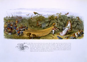 Illustrazioni da 