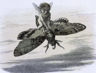 Un elfo che cavalca una farfalla. Illustrazione di Richard Doyle tratta da "In Fairy land. Una serie di immagini dal mondo degli elfi" accompagnata da una poesia di W Allingham. 1869-1870. The British Library Institution Reference: Shelfmark ID: 1876 e18 