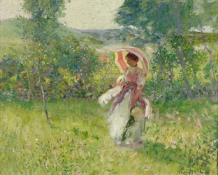 Il parasole