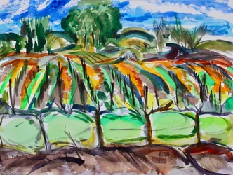 Vigneti Autunnali, Napa, 2017