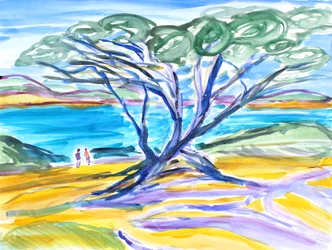 Albero di cipresso, Carmel, 2019