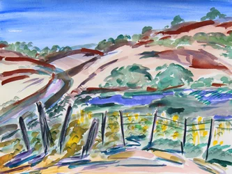 Colline Secche, California del Nord, 2021