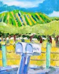 Cassette postali e vigneto, Napa
