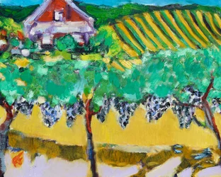 Uva Merlot, Napa, 2017