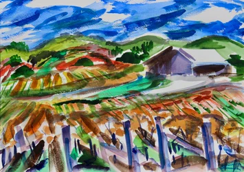 Napa in autunno