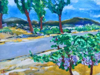 Vigneto lungo la strada, Napa