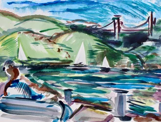 Barche a vela, Tiburon, 2017
