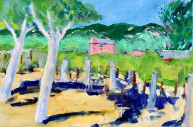 Alberi e ombre