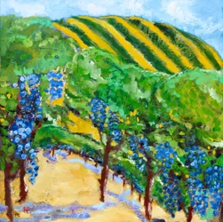 Vigneto e Colline Ondulate, 2019