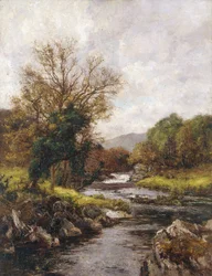 Il torrente delle trote