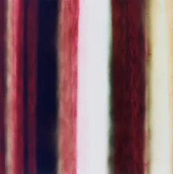 Striscia II, 2005