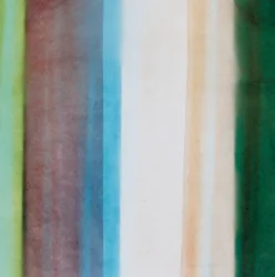 Striscia VIII, 2005