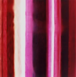 Striscia XIII, 2005
